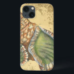 Marrom e Seashell Verde<br><div class="desc">Se você não pode ir à praia hoje, pegue esta imagem clássica do estilo desta única casca verde e marrom hoje! Esta casca do oceano é cercada por areia quente nesta pintura e se excelente em qualquer produto náutico.</div>