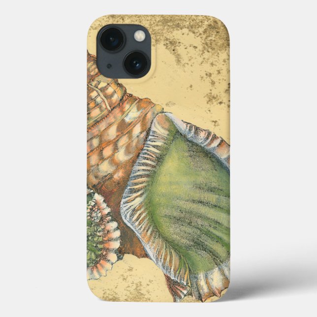 Marrom e Seashell Verde (Verso)