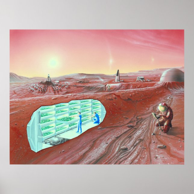 Mars Colony Poster (Frente)