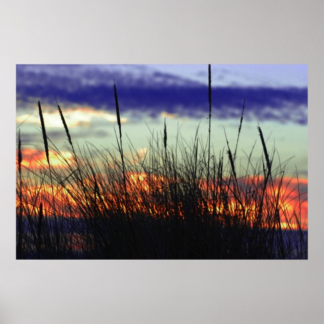 Marshland Sunset Poster (Frente)