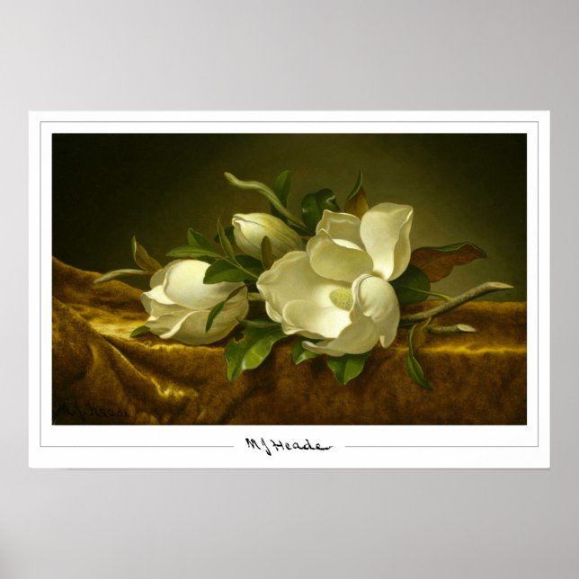 Martin Johnson Heade Zedign Art Poster nº 27 (Frente)