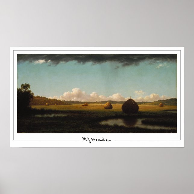 Martin Johnson Heade Zedign Art Poster nº 35 (Frente)