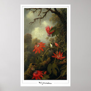 Martin Johnson Heade Zedign Art Poster nº 36