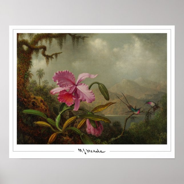 Martin Johnson Heade Zedign Art Poster nº 51 (Frente)