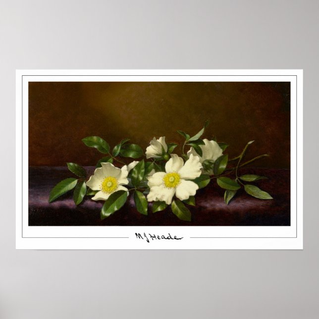 Martin Johnson Heade Zedign Art Poster nº 52 (Frente)