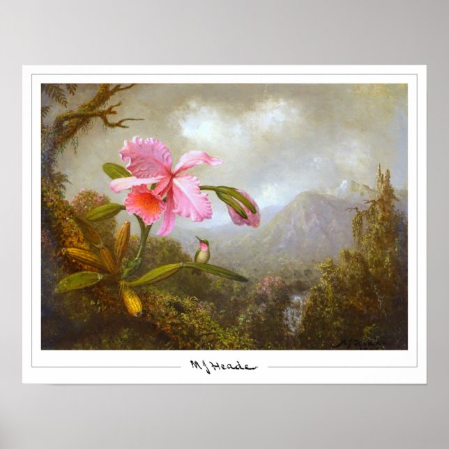 Martin Johnson Heade Zedign Art Poster nº 8 (Frente)