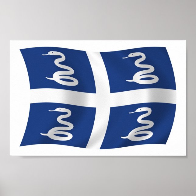 Martinique Flag Poster Impressão (Frente)