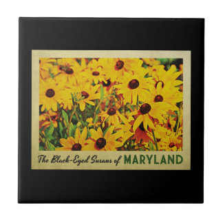 Maryland Black-Eyed Susans