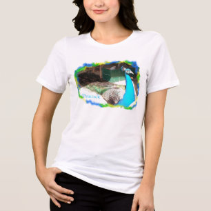 Masculino Peacock Sunbelt