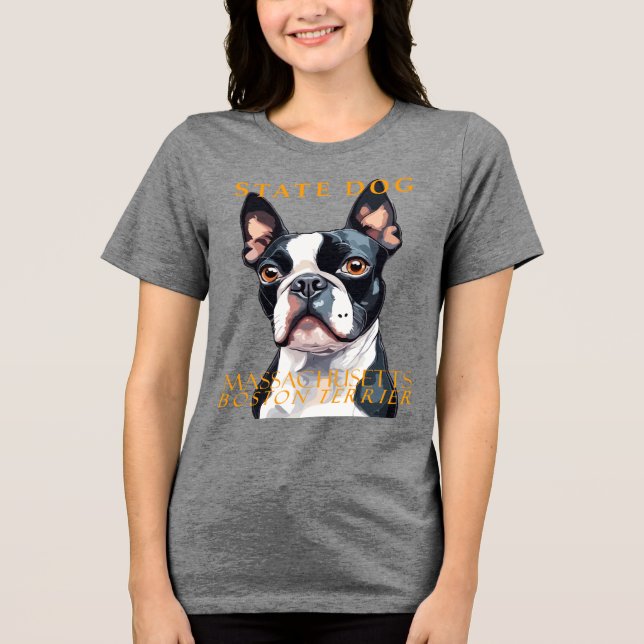 Massachusetts Territory Dog The Boston Terrier Art (Frente)