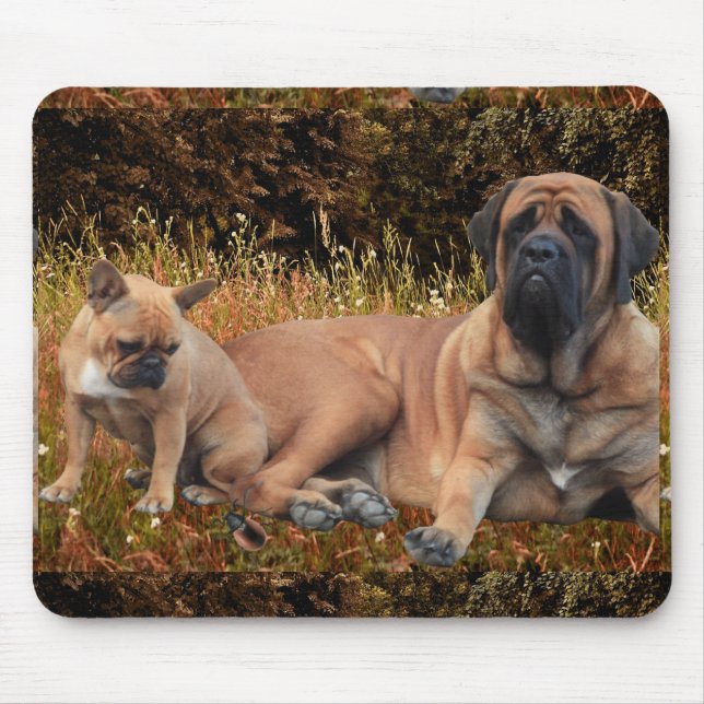 Mastff francesa e bulldog mousepad (Frente)