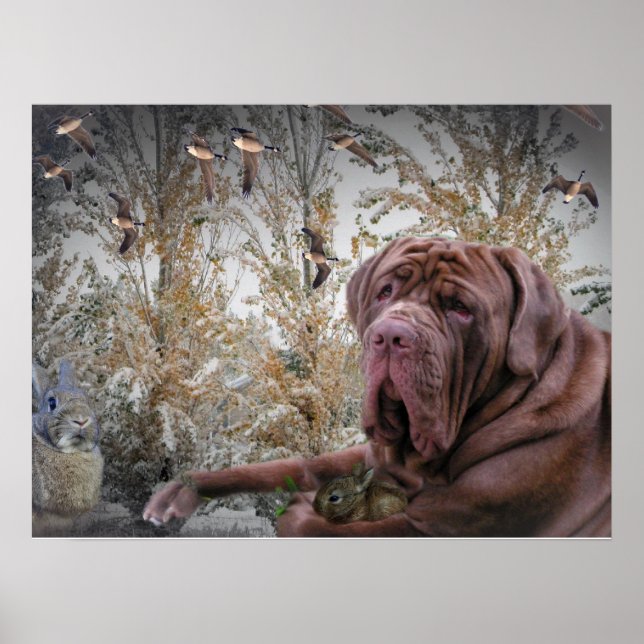 Mastiff com Poster de pequeno coelho (Frente)