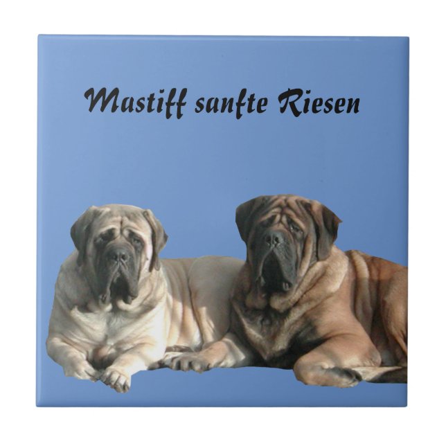 Mastiff  englische Dogge (Frente)