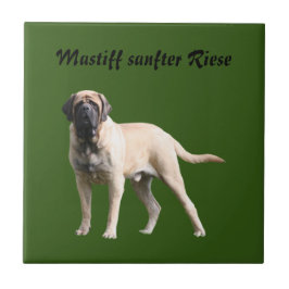 Mastiff  englische Dogge Urlaub 