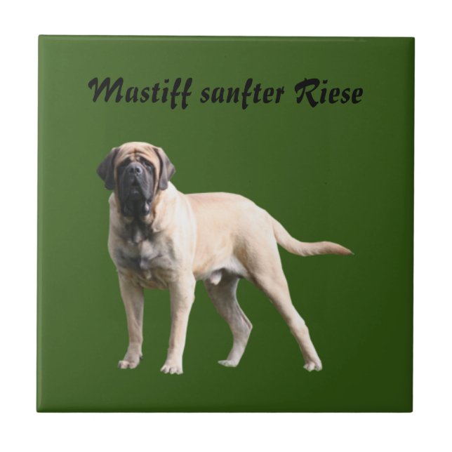 Mastiff  englische Dogge Urlaub  (Frente)