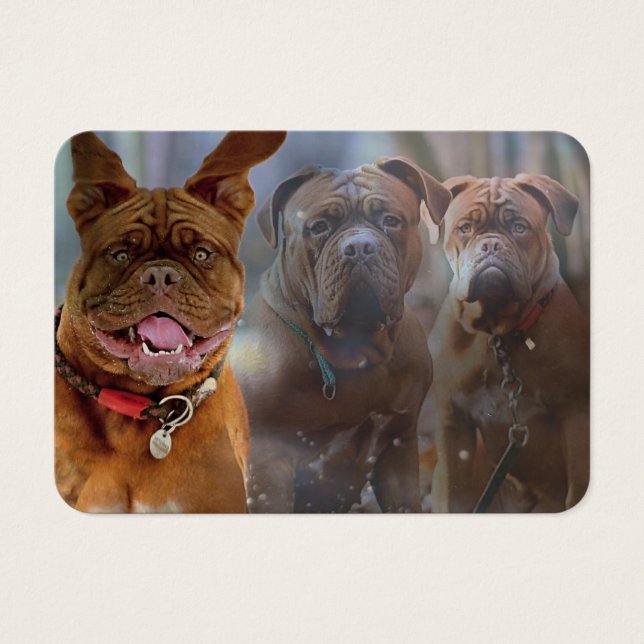 Mastiff Plus - Cartão de visita (Frente)