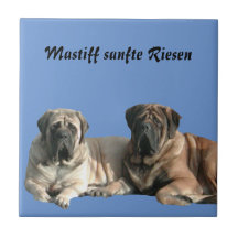 Mastiff Urlaub English Mastiff