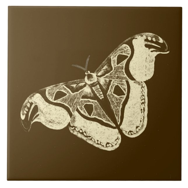 Mata cigana, castanho de chocolate e bege (Frente)