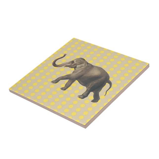 Mata de Especiarias de Mostarda com Elefante (Lateral)