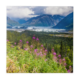 Matanuska Valley, Southcentral Alaska