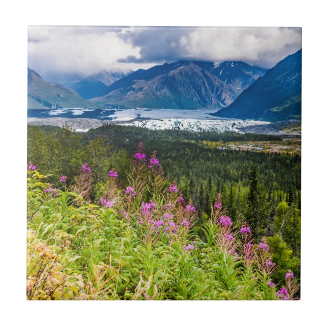 Matanuska Valley, Southcentral Alaska (Frente)