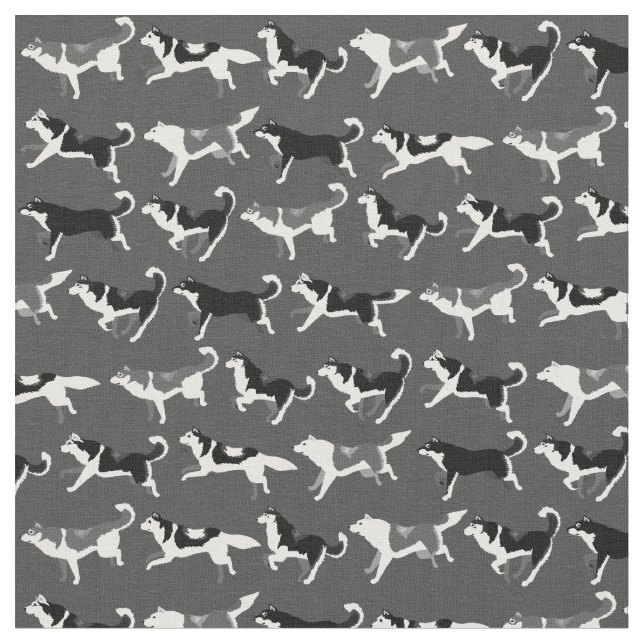 Matérias têxteis roncas do cão dos tecidos do (Detalhe)
