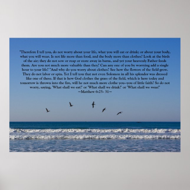 Mateus 6:25- 31 Poster (Frente)
