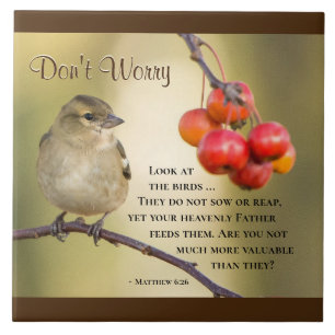 Mateus 6:26 Bíblia Verse, não se preocupe