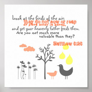 Mateus 6:26 - Mais Valioso Que Poster de Aves
