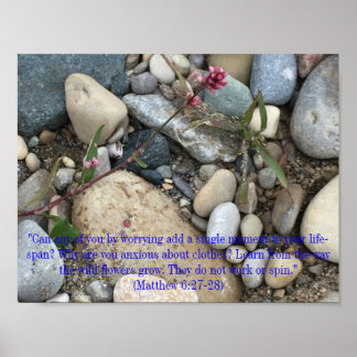 Mateus 6:27-28 Poster