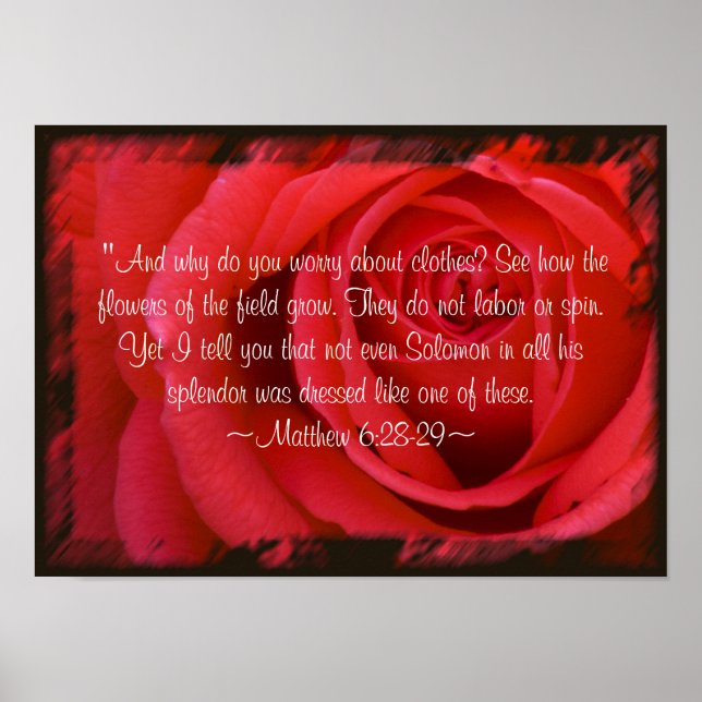 Mateus 6:28-29 Poster (Frente)