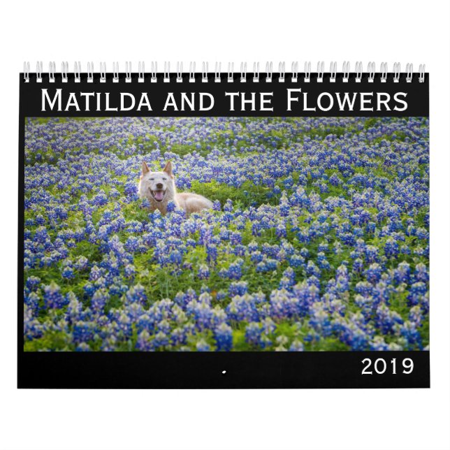 Matilda e o calendário das flores 2019 (Capa)