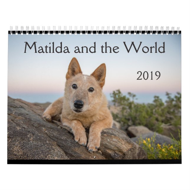 Matilda e o calendário do mundo 2019 (Capa)