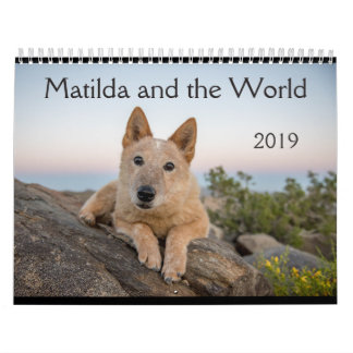 Matilda e o calendário do mundo 2019