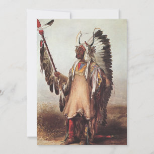 Mato-Tope, Retrato Chefe de Mandão de Karl Bodmer