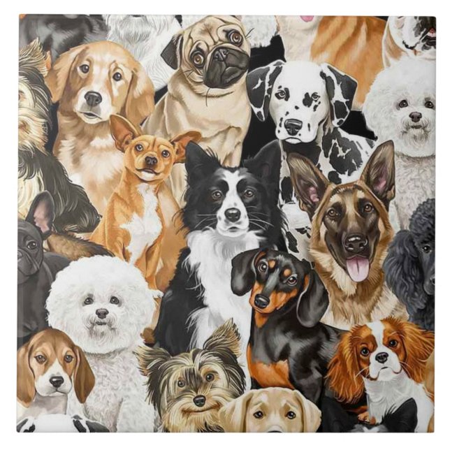 Matriz de cães de fundo (Frente)