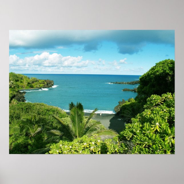 Maui Beach Poster (Frente)