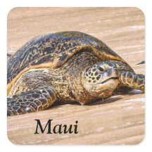 Maui Sea Turtle em um adesivo de praia