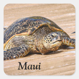 Maui Sea Turtle em um adesivo de praia