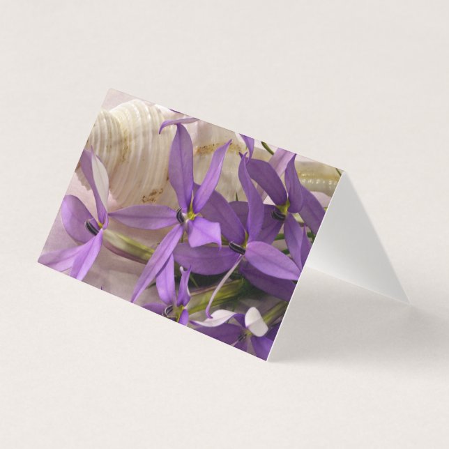Mauve Starshine Laurentia Card (Frente)