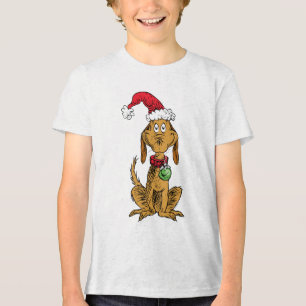 Max o Cachorro com o Chapéu de Papai Noel