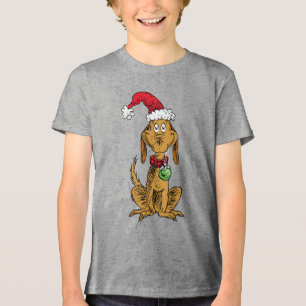 Max o Cão com Chapéu de Papai Noel