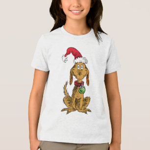Max o Cão com Chapéu de Papai Noel