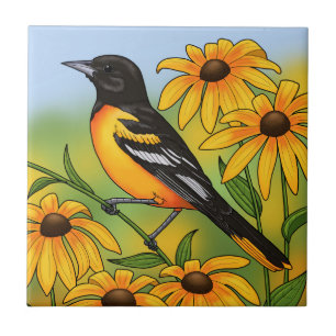 MD State Bird Oriole e Susan Flower de olhos negro