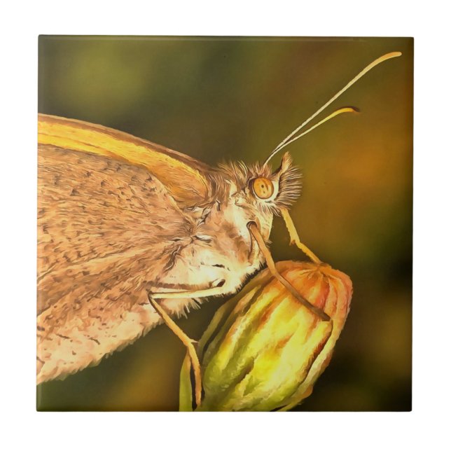 Meadow Brown Beauily Button Art (Frente)