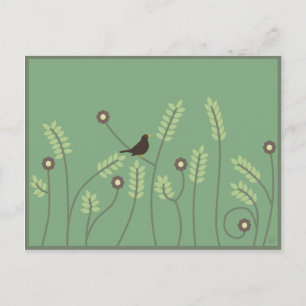 Meadow, cartão postal