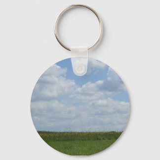 Meadow Chaveiro