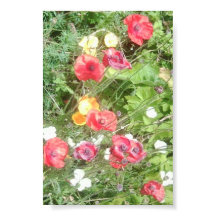 Meadow Dapple Flowers Value Poster - Muito Pequeno