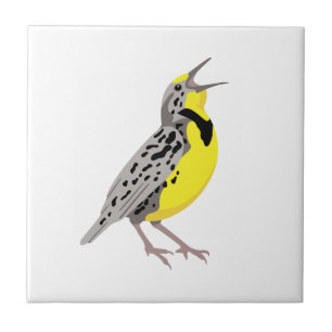 Meadowlark Ocidental