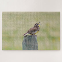 Meadowlark quebra-cabeça